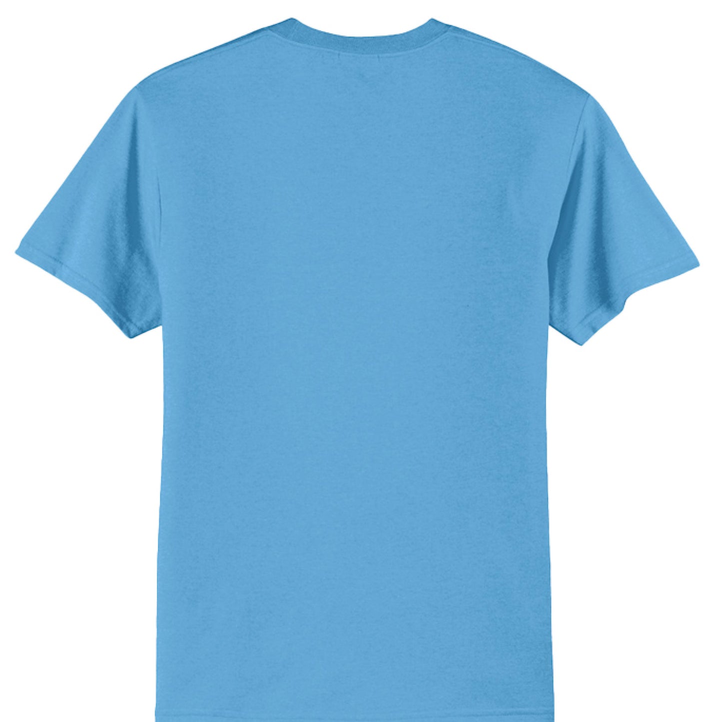 Aquatic Blue - BACK