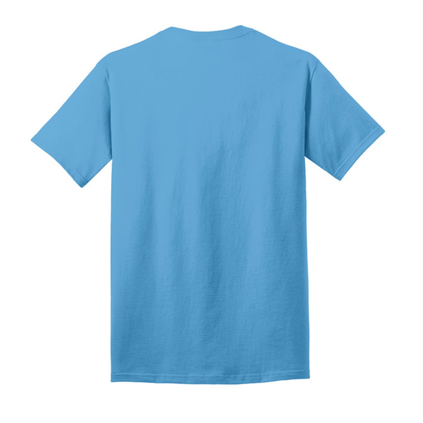 Aquatic Blue - BACK